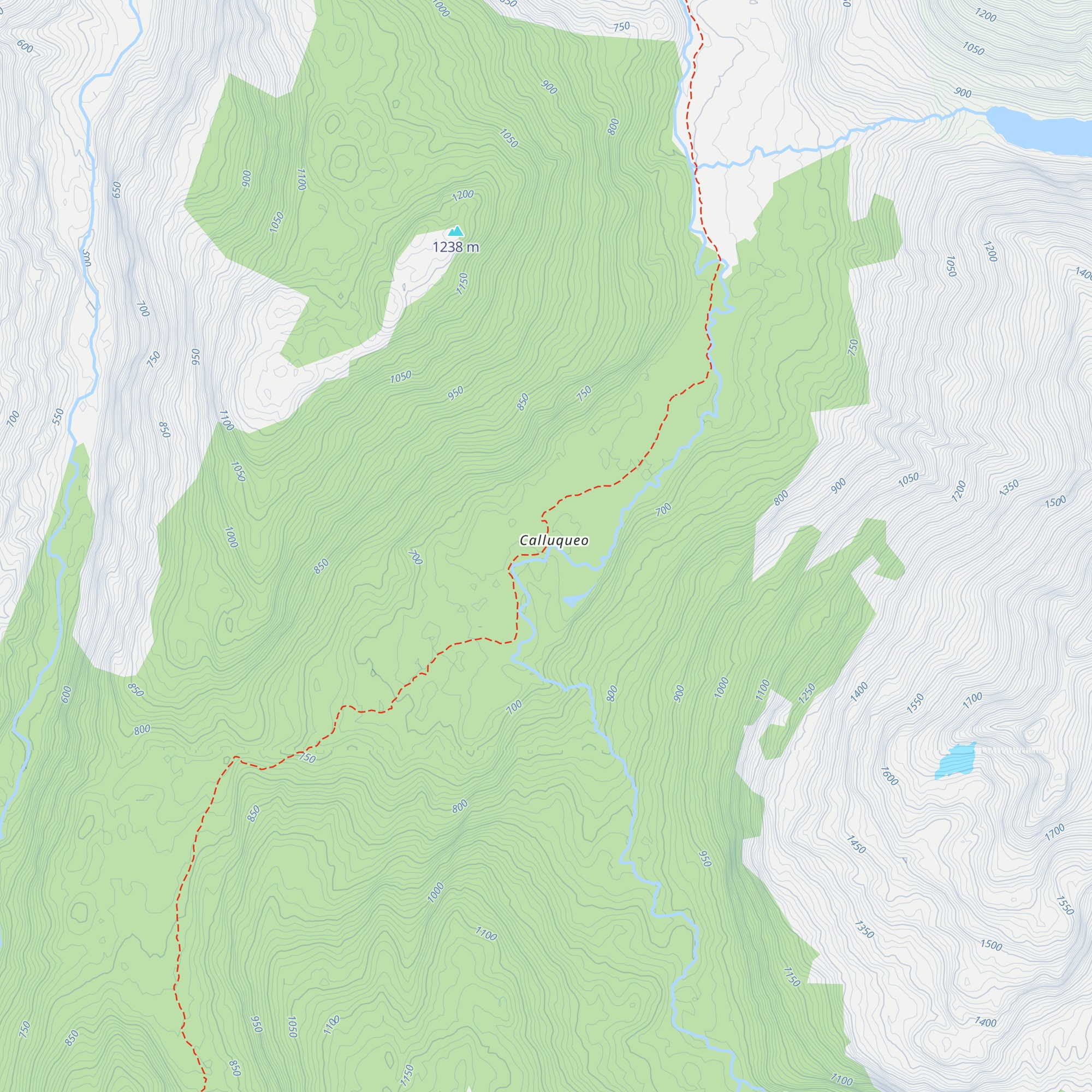 Puesto Cayuqueo map