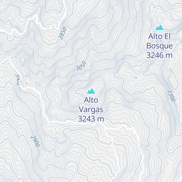 Map of Alto Vargas
