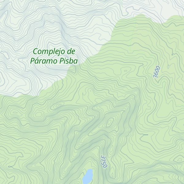 Map of Alto Chamisal
