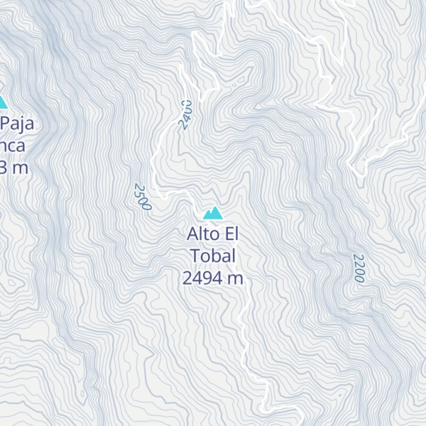 Map of Alto El Tobal