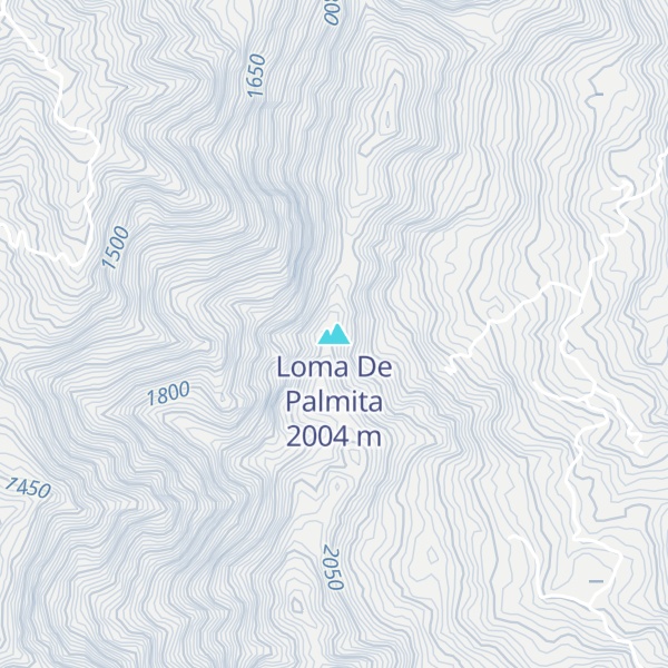 Map of Loma De Palmita
