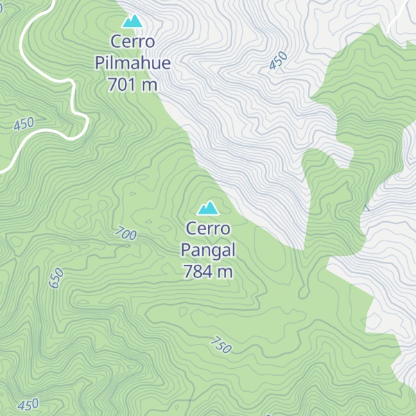 Map of Cerro Pangal