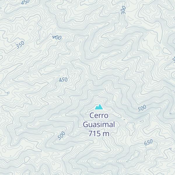 Map of Cerro Guasina