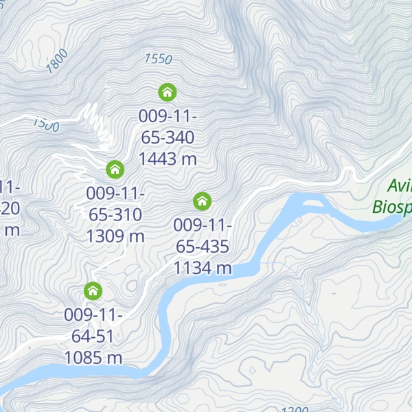 Map of 009-11-65-460