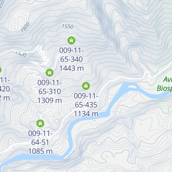Map of 009-11-65-435