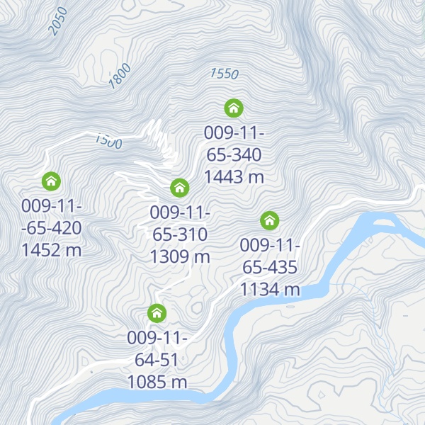Map of 009-11-65-315