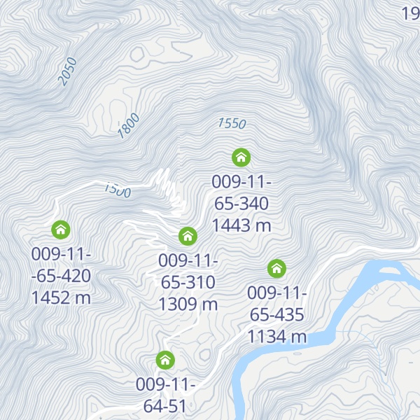Map of 009-11-65-53