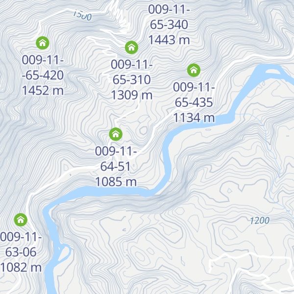 Map of 009-11-60-21