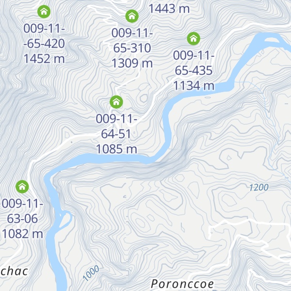 Map of 009-11-65-335