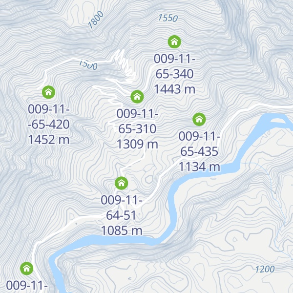 Map of 009-11-65-60