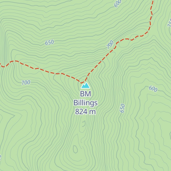 Map of BM Billings