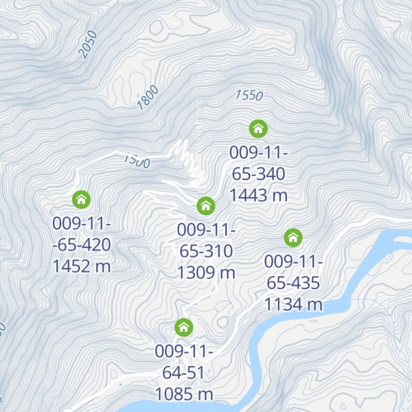 Map of 009-11-65-310