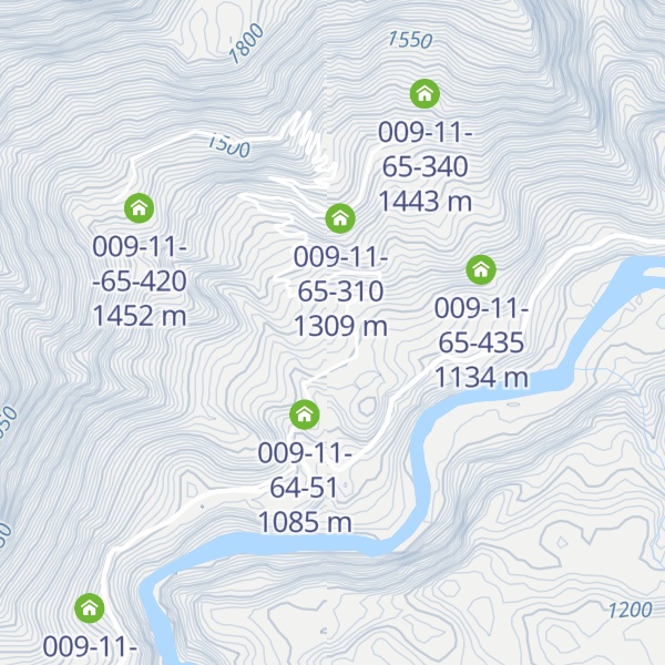 Map of 009-11-65-15