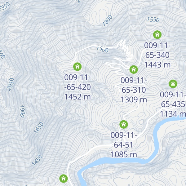 Map of 009-11-65-390