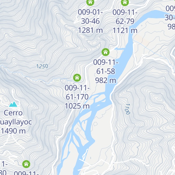 Map of 009-11-61-110
