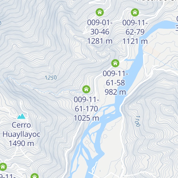 Map of 009-11-61-300