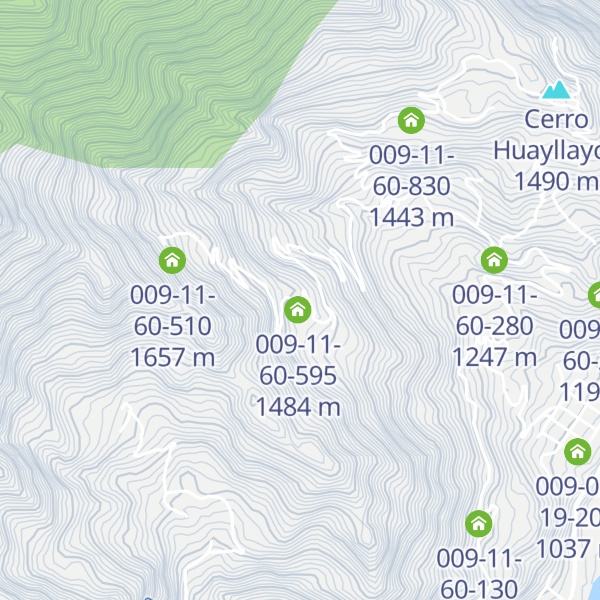 Map of 009-11-60-590