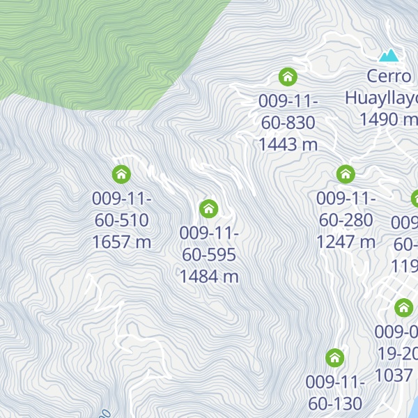 Map of 009-11-60-595