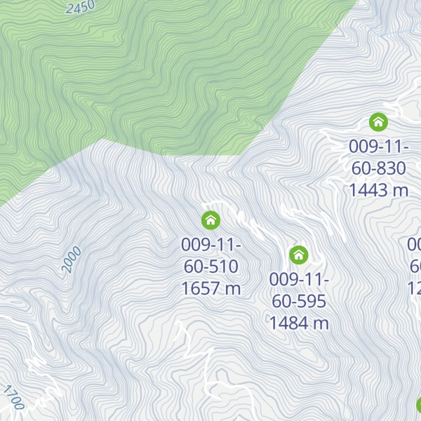 Map of 009-11-60-540