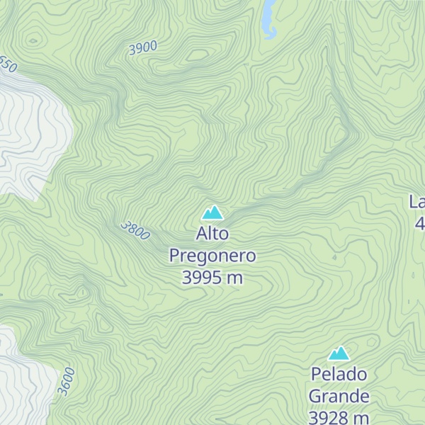 Map of Alto Pregonero
