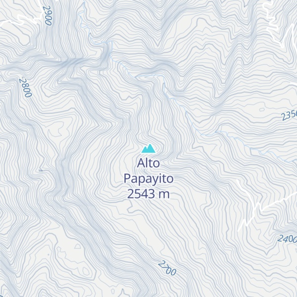 Map of Alto Papayito