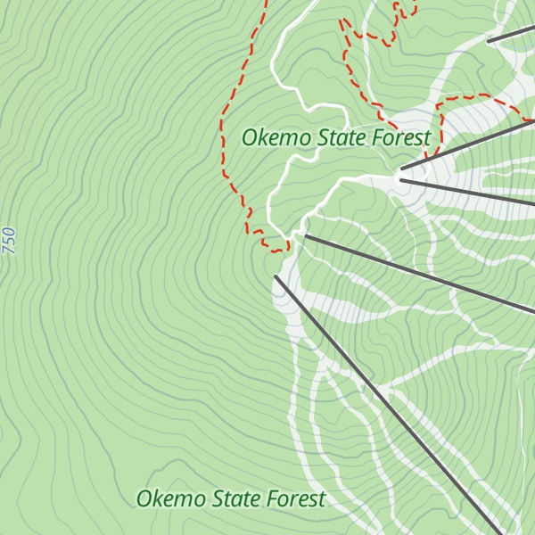 Map of Ludlow Mountain