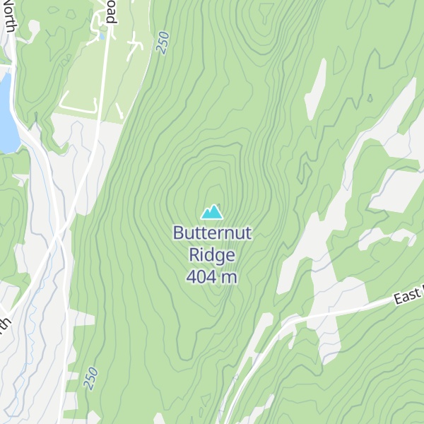 Map of Butternut Ridge