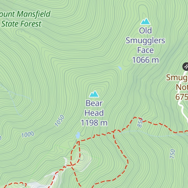 Map of Bear Head
