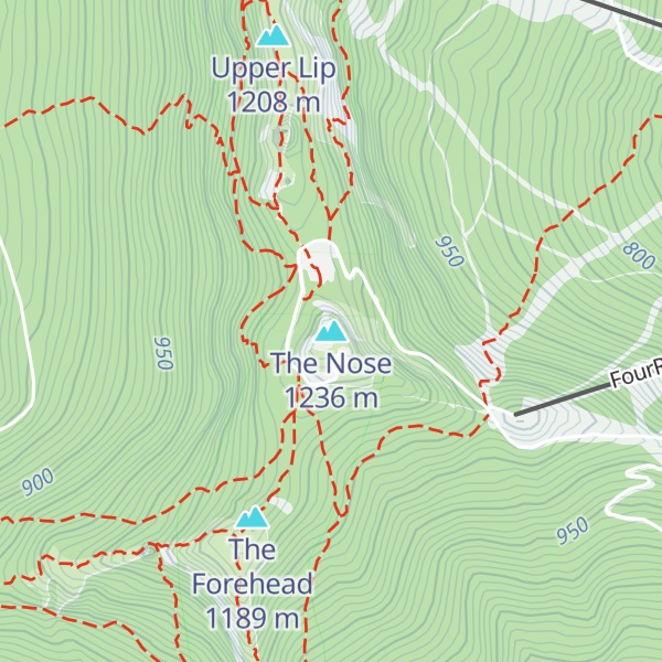 Map of The Nose