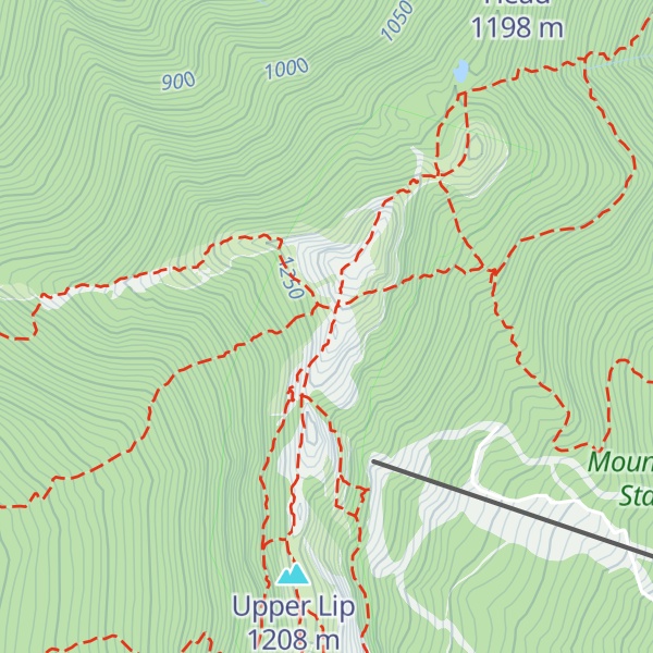 Map of Lower Lip