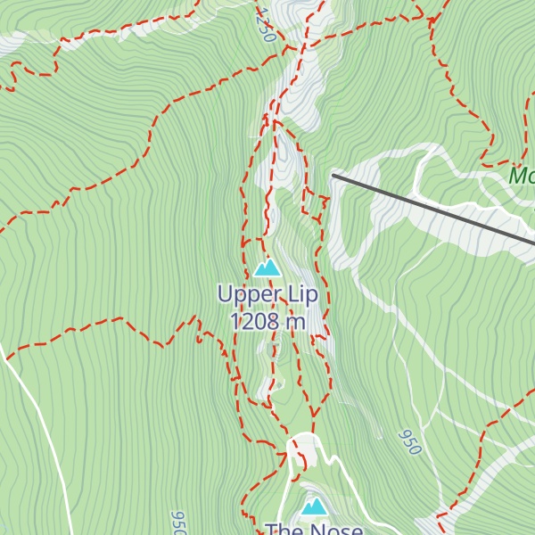 Map of Upper Lip