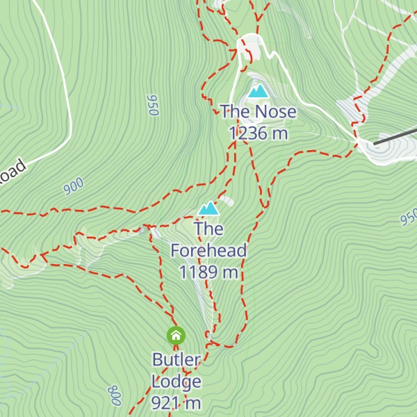Map of The Forehead