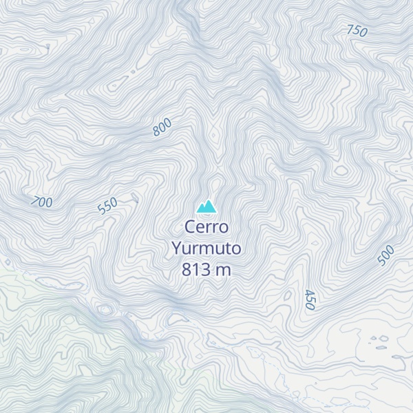 Map of Cerro Yurmuto
