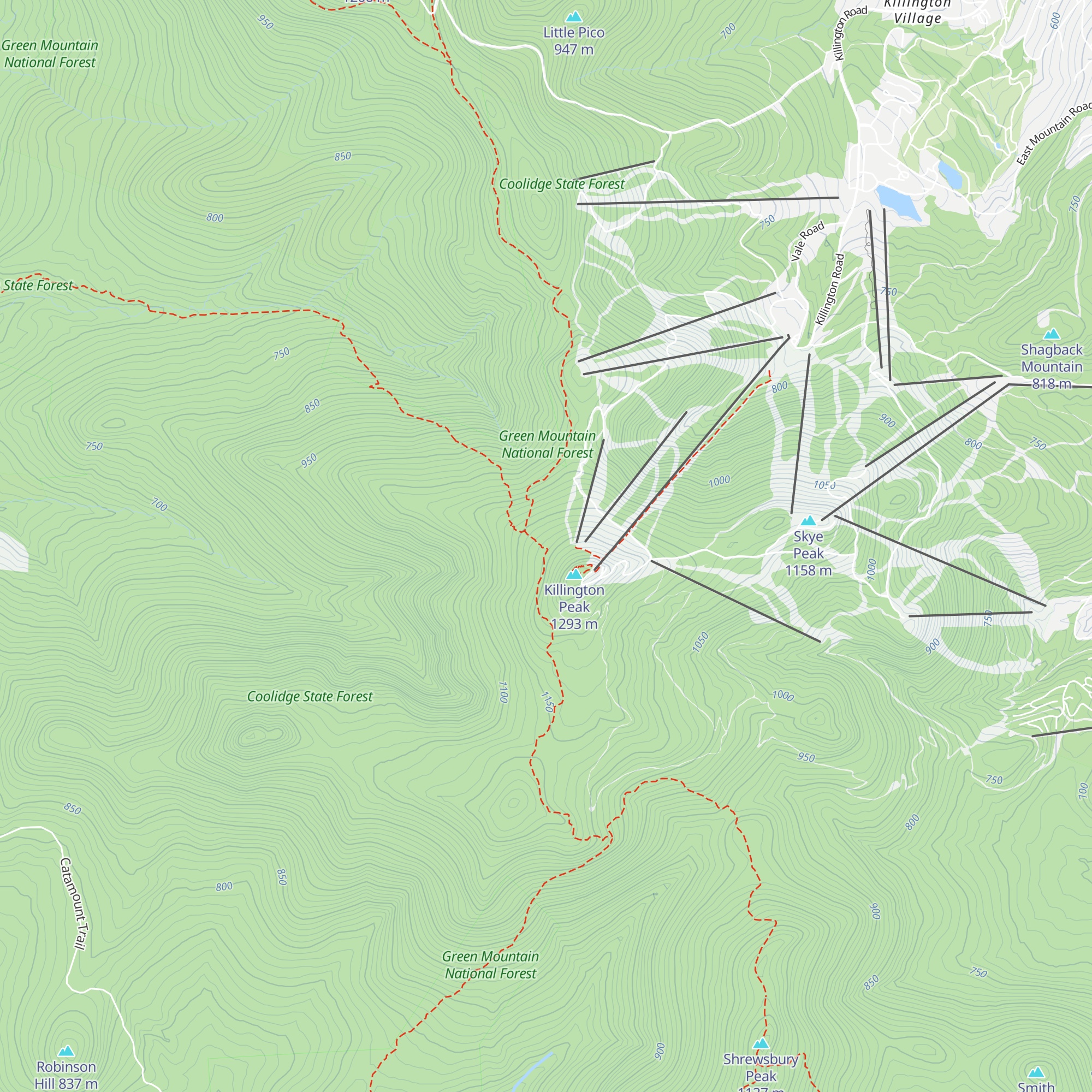 Cooper Lodge map
