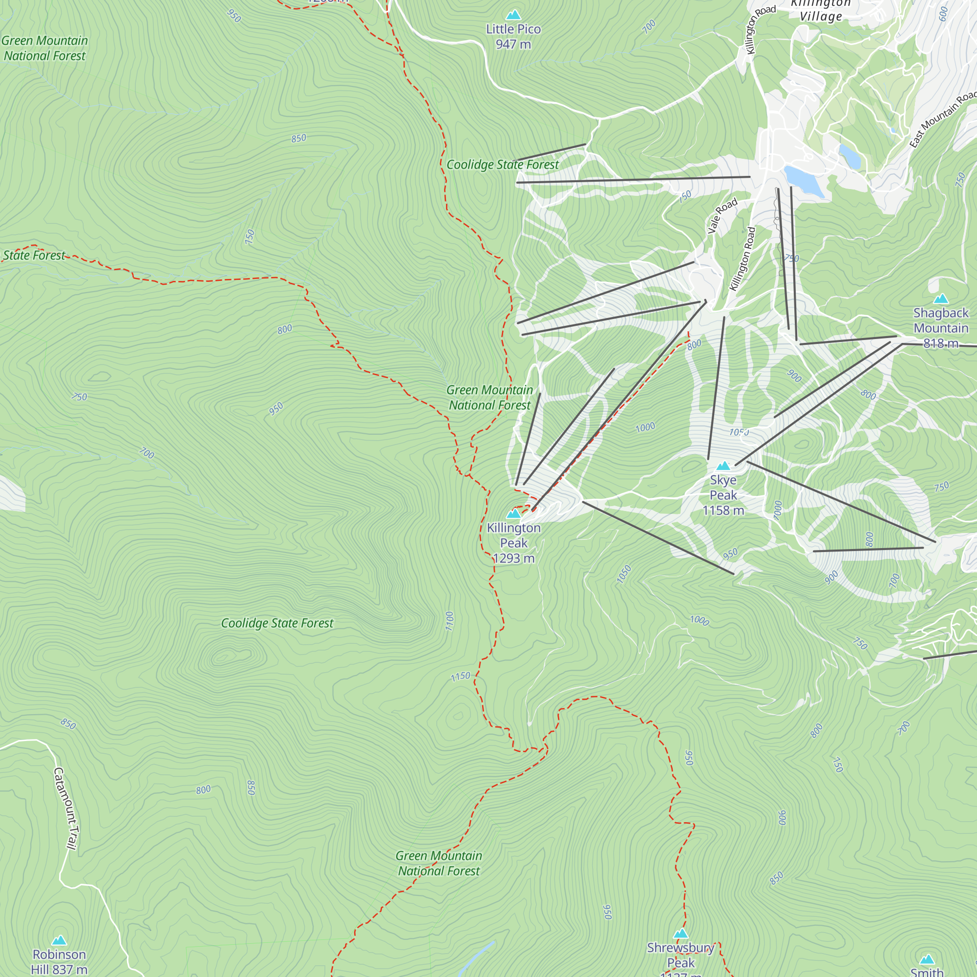 Cooper Lodge map