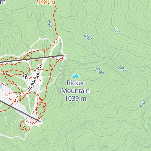 Map of Ricker Mountain