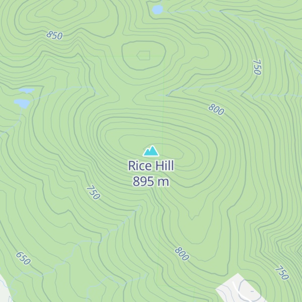 Map of Rice Hill