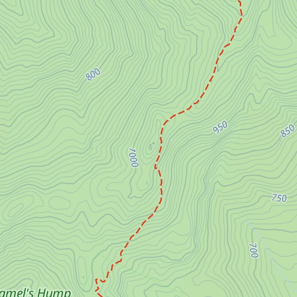 Map of Mount Ira Allen