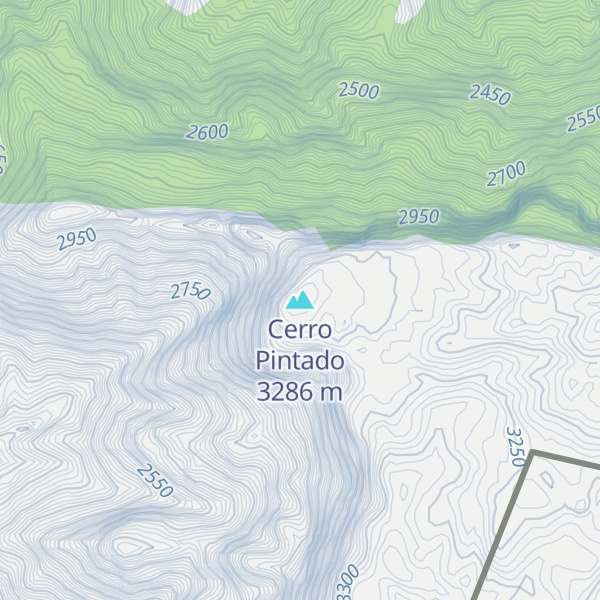 Map of Cerro Pintado