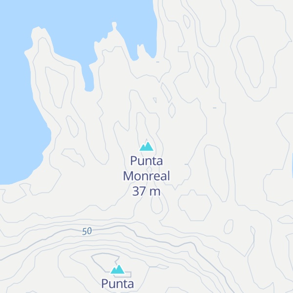 Map of Punta Monreal
