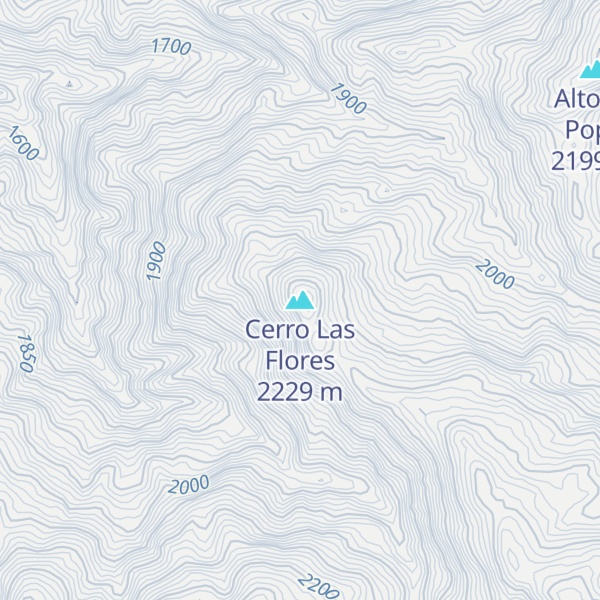 Map of Cerro Las Flores