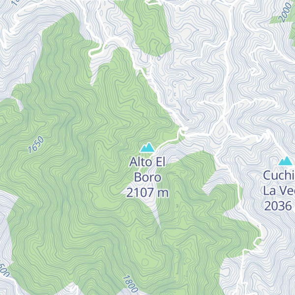 Map of Alto El Boro