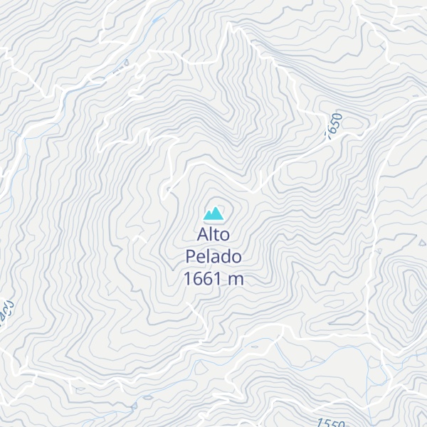 Map of Alto Pelado