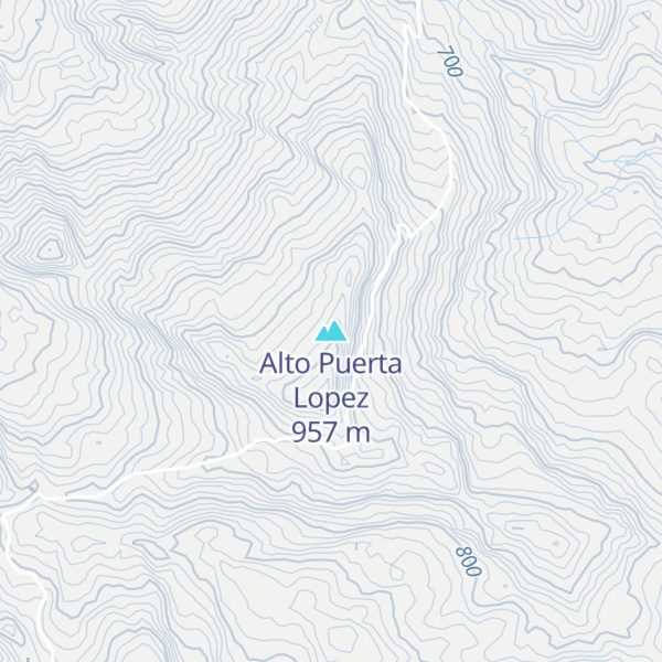 Map of Alto Puerta Lopez