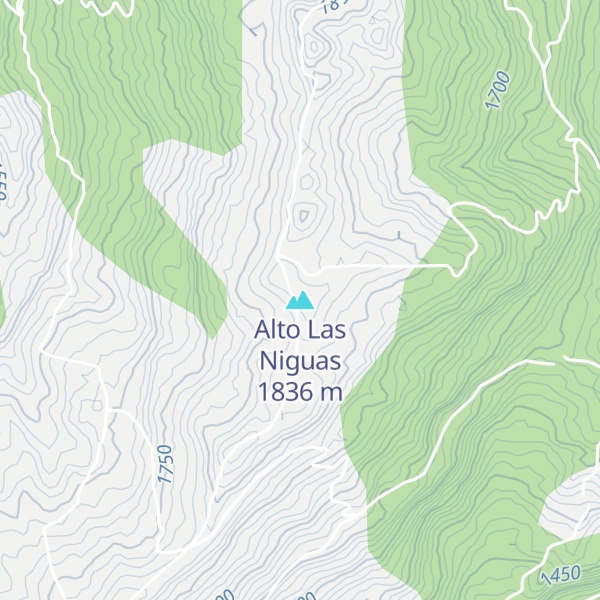 Map of Alto Las Niguas