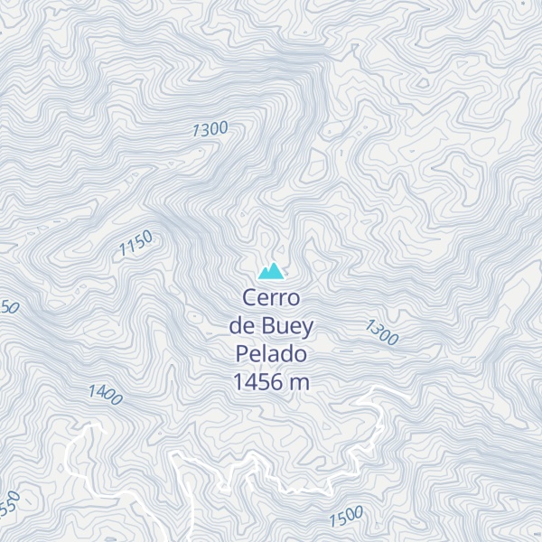Map of Cerro de Buey Pelado