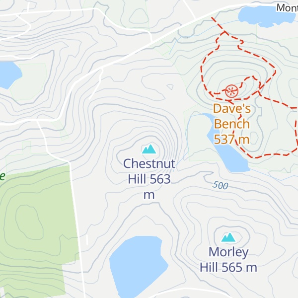 Map of Chestnut Hill