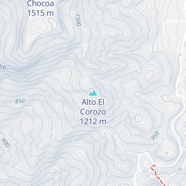 Map of Alto El Corozo