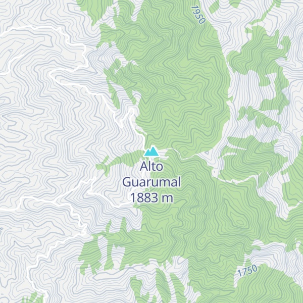 Map of Alto Guarumal