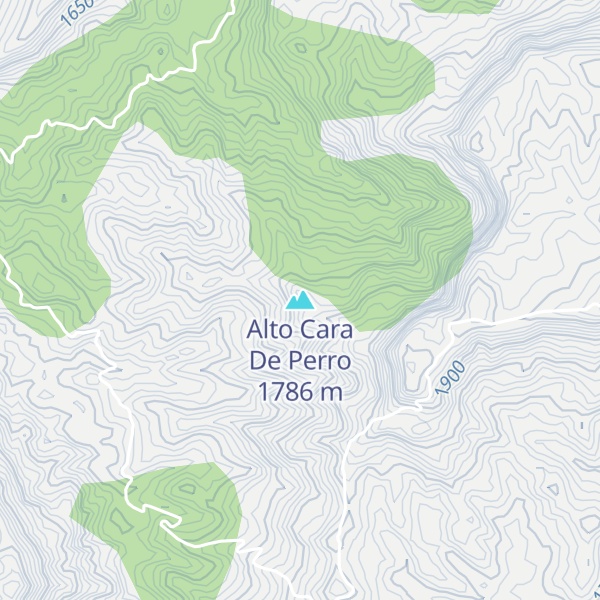 Map of Alto Cara De Perro